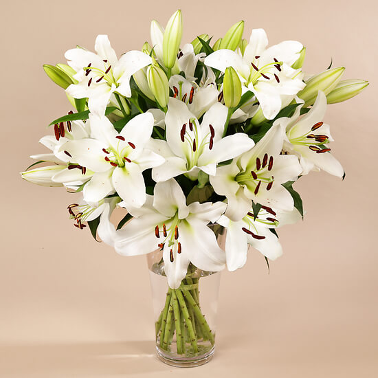 Grands Lys Blancs – livraison fleurs Lausanne