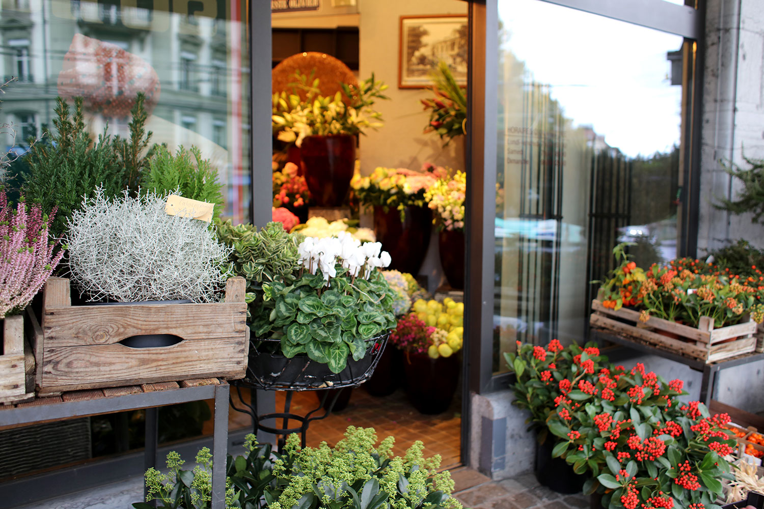 Meylan Fleurs SA – fleuriste à Lausanne, partenaire LausanneFlowers.ch