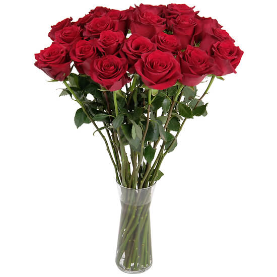 Roses Rouges du Fleuriste – livraison fleurs Lausanne